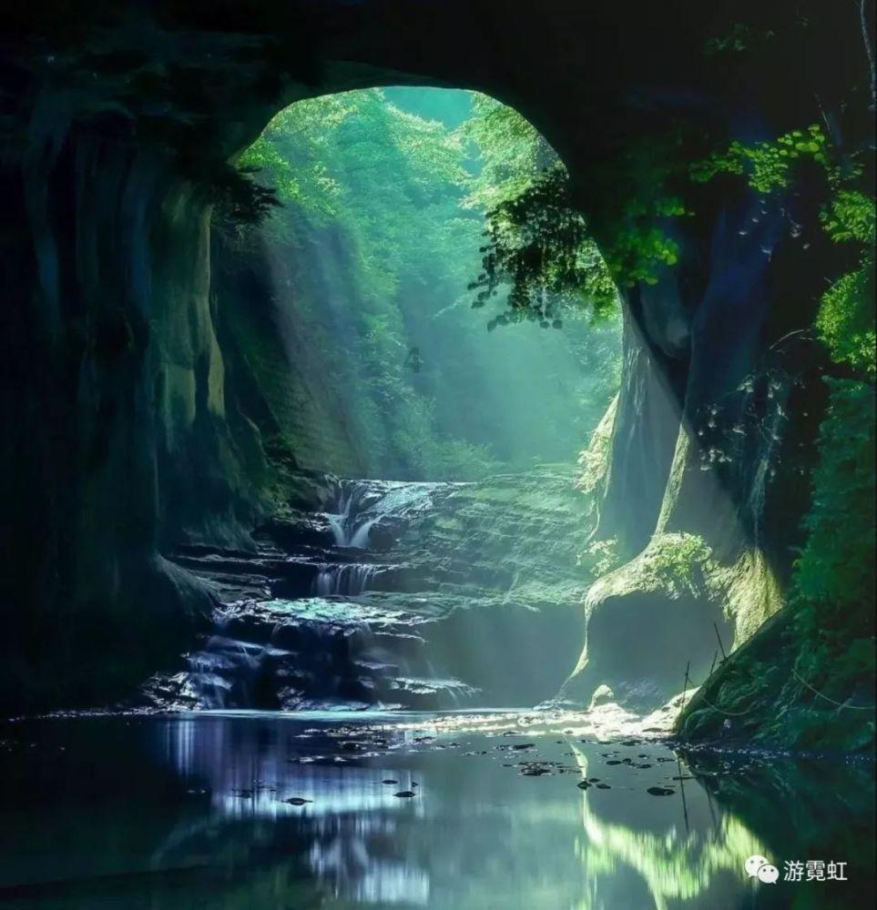 豪猪和刺猬的区别-专业问答平台,一问百解