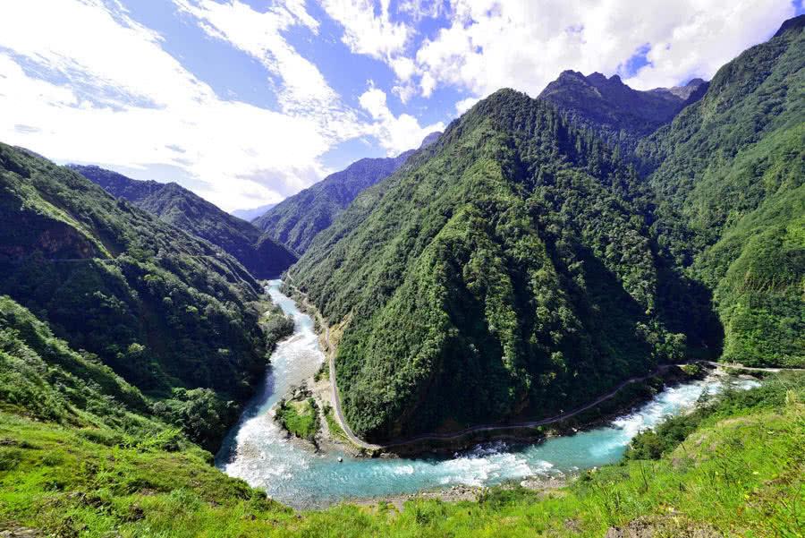 救援鹦鹉