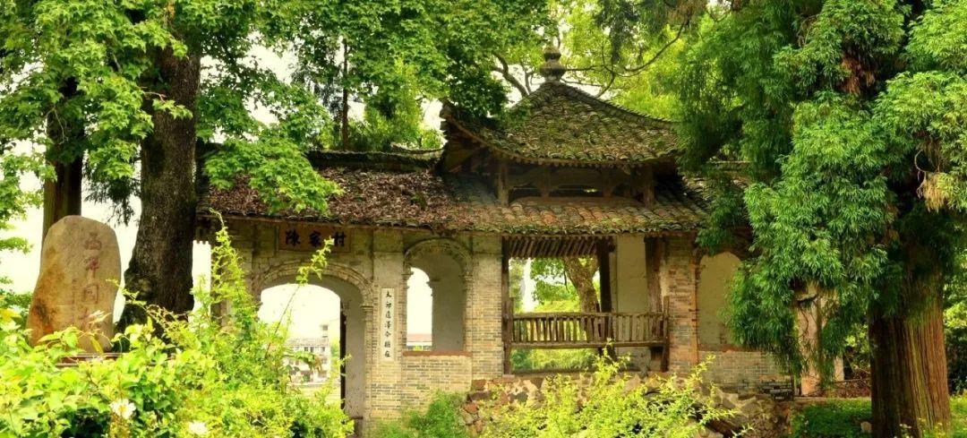 一座园、一片湖、一群鸟 山西潞州绘就美丽生态画卷