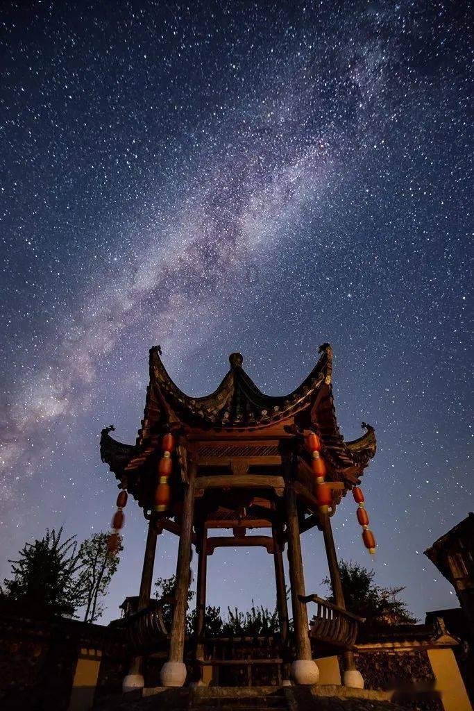 寻找火鸡