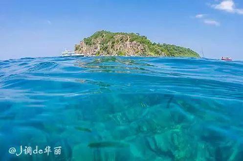 小狗救援行动选关版