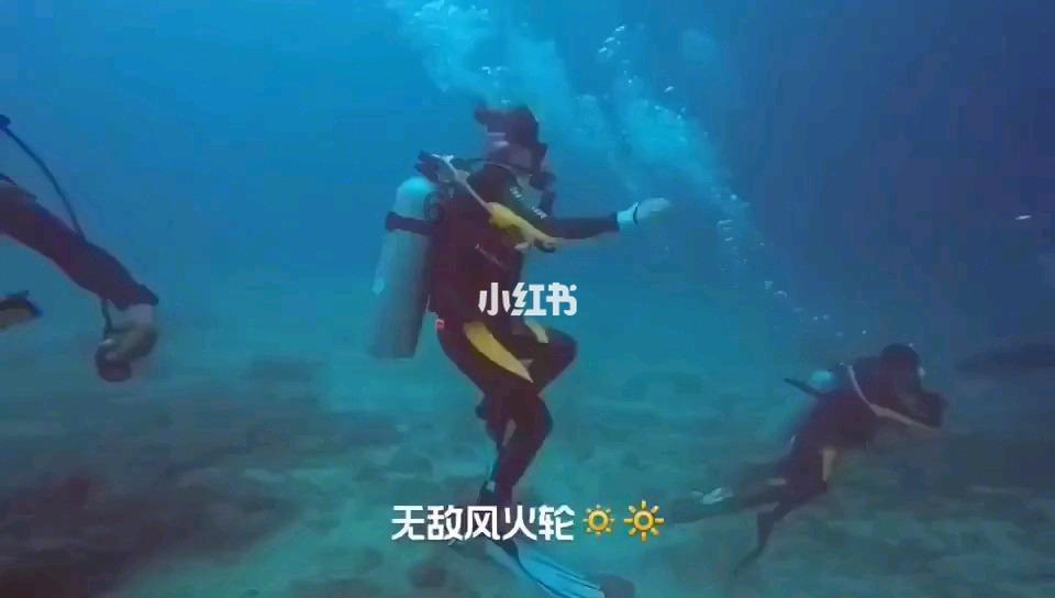 “百县千碗·寻味临平”暨 “宋福杭州年·来临过大年”系列活动带你新年行大运