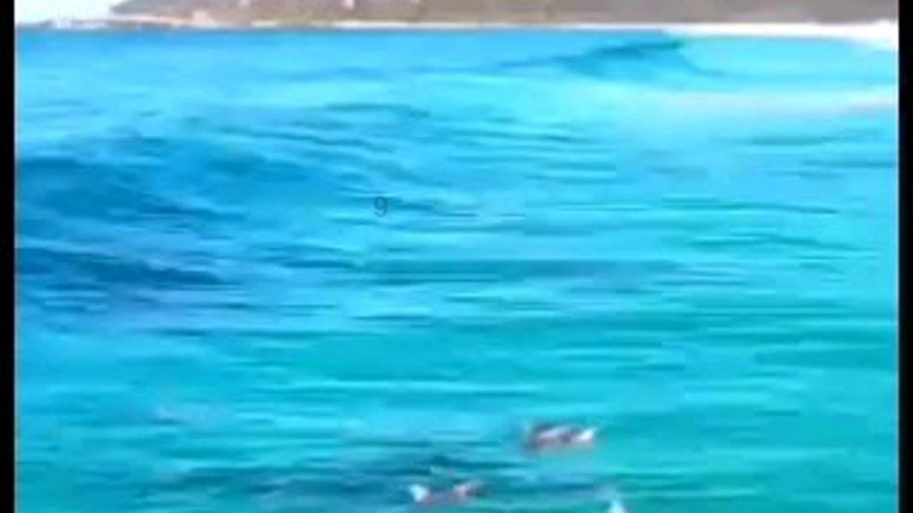 为什么喝热水能治病？