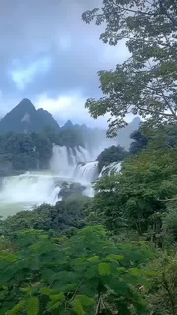 痛风患者不能喝什么?除了酒,这3种水喝得越多,尿酸越高