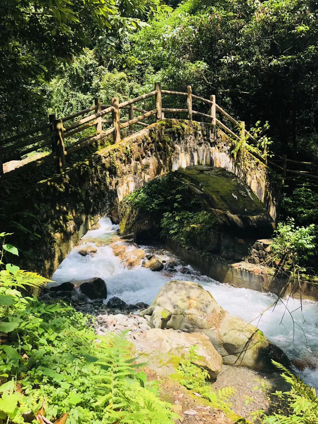 代位继承要满足哪些条件游戏画面