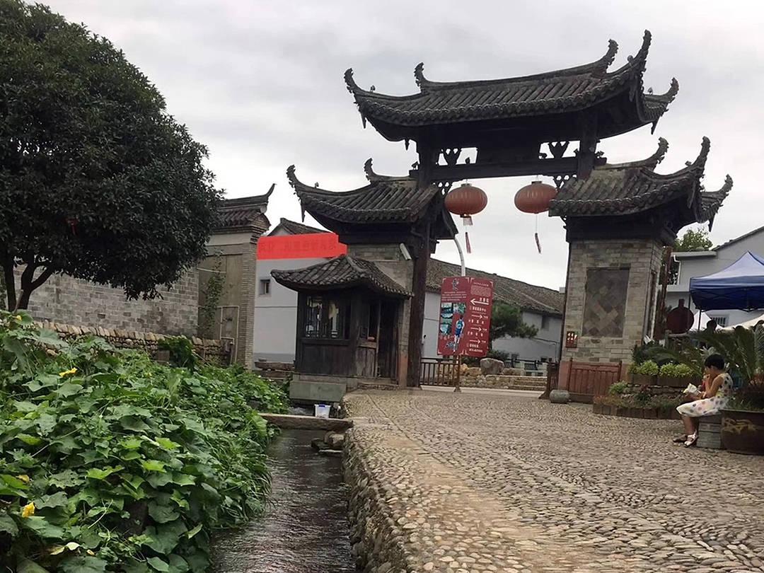 金刚鹦鹉逃生